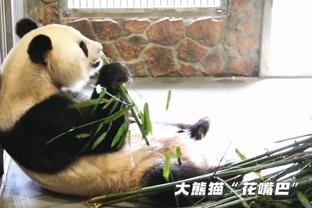 Marks披露交易细节：鹈鹕得到10万美元 猛龙获1020万交易特例